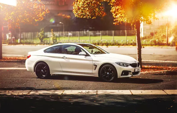 Картинка осень, BMW, white, 4 Series, F32, 420d