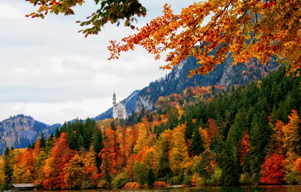 Осень, лес, река, замок, Германия, Бавария, nature, Germany