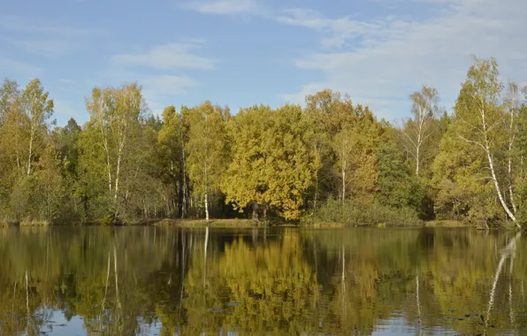 Картинка Природа, Отражение, Осень, Озеро, Деревья, Россия, Nature, Fall