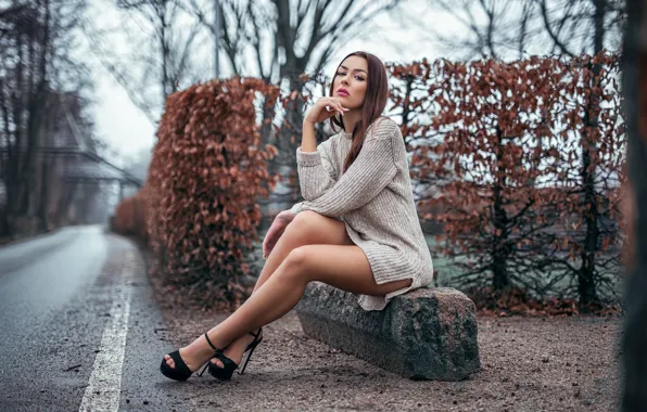 Картинка дорога, осень, девушка, деревья, макияж, фигура, платье, прическа