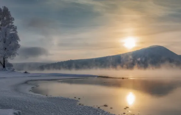 Картинка зима, солнце, снег, деревья, пейзаж, природа, туман, озеро