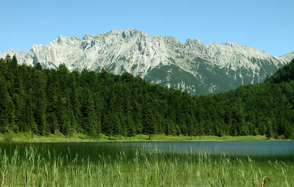 Вода, деревья, горы, фото, пейзажи, леса