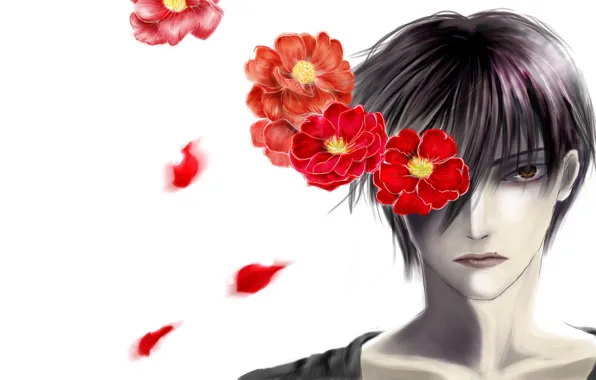 Цветы, арт, парень, камелии, Yuuki Anzai, Линия Дьявола, Devils Line