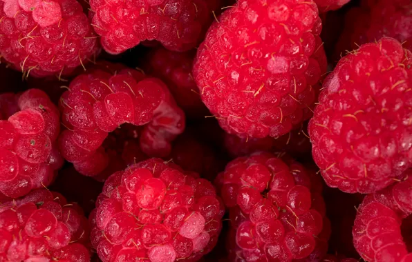 Ягоды, малина, фон, background, Raspberry