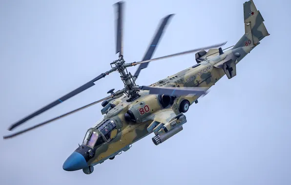 Картинка вертолёт, Россия, Ка-52, «Аллигатор», разведывательно-ударный