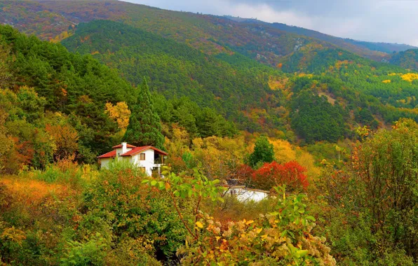 Картинка Природа, Горы, Осень, Nature, Fall, Autumn, Mountains, Village