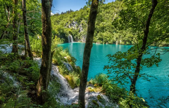 Картинка лес, пейзаж, природа, озеро, водопад