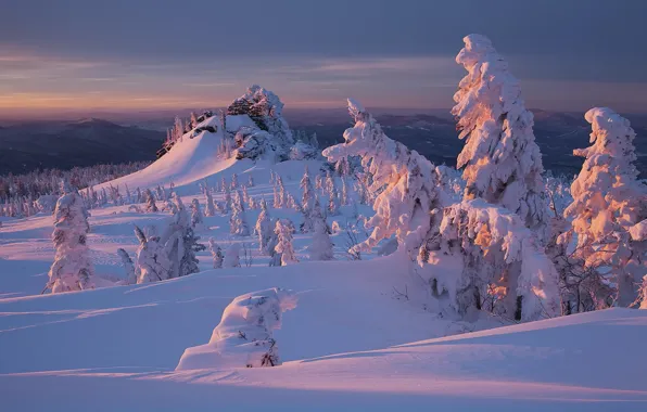 Картинка зима, лес, снег, закат, природа