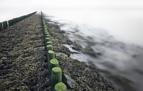 Море, берег, Netherlands, Zeeuws-Vlaanderen, Zeeland, Westerschelde