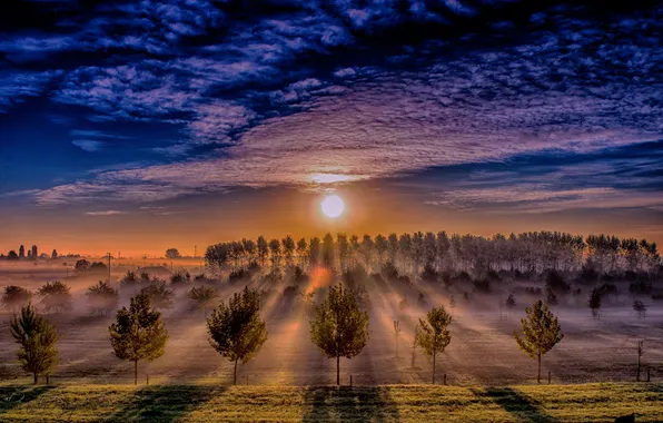 Картинка поле, небо, закат, природа, туман