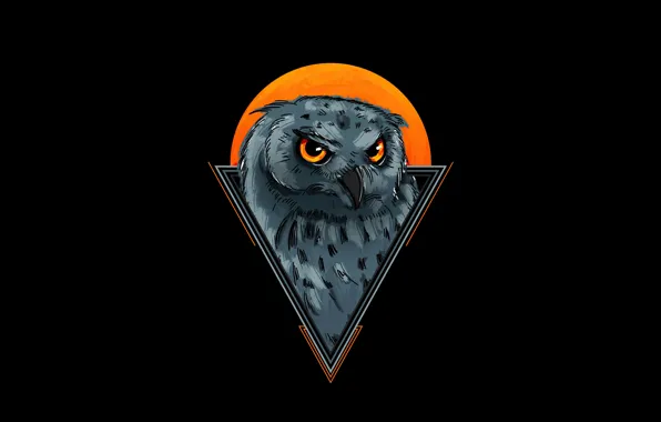 Дизайн, сова, минимализм, черный фон, minimalism, design, black background, owl