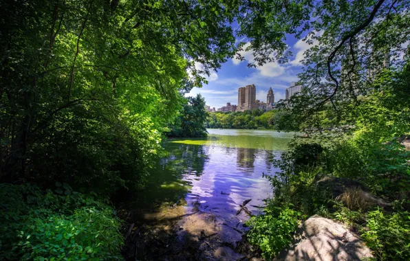Деревья, пейзаж, озеро, Central Park - New York City
