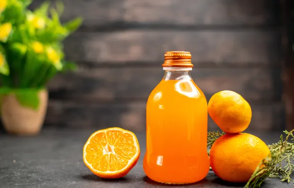 Цветок, стол, доски, растение, бутылка, сок, горшок, фрукты