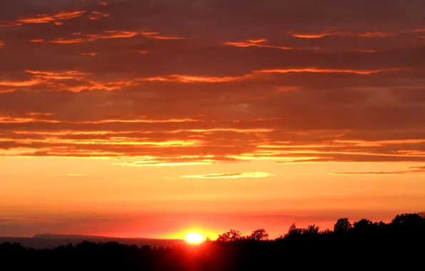 Картинка небо, солнце, облака, закат, горизонт