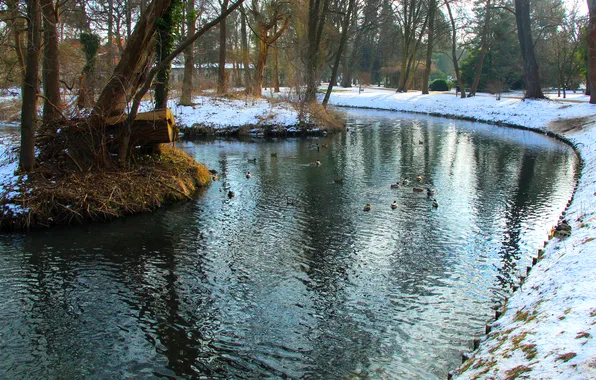 Water, park, winter, pond