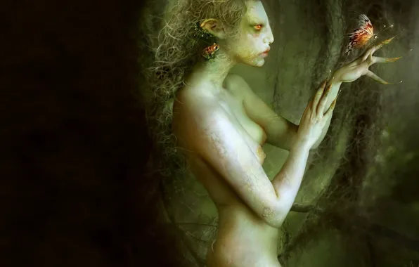 Бабочка, женщина, лягушка, Рисунок