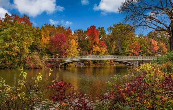 Картинка осень, деревья, пейзаж, мост, природа, город, пруд, парк