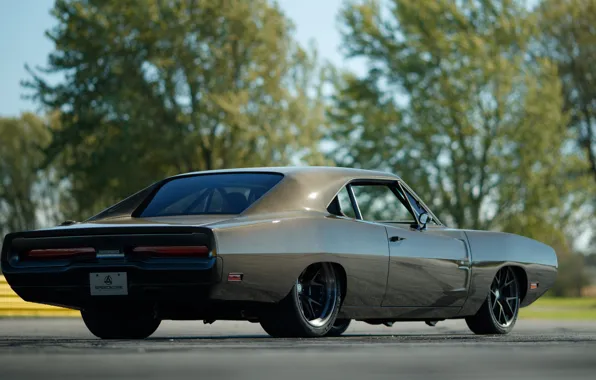 Картинка Тюнинг, Evolution, 1970, Dodge Charger, задок, Маслкар, Speedkore