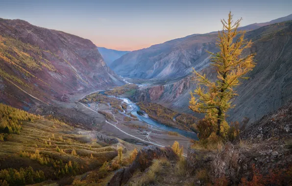 Картинка осень, пейзаж, горы, природа, река, долина, каньон, Алтай