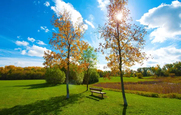 Картинка осень, небо, трава, деревья, пруд, парк, скамья