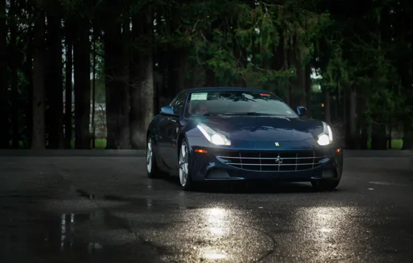Ferrari, V12, Ferrari Four