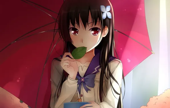 Картинка девушка, лист, зонт, Sankarea