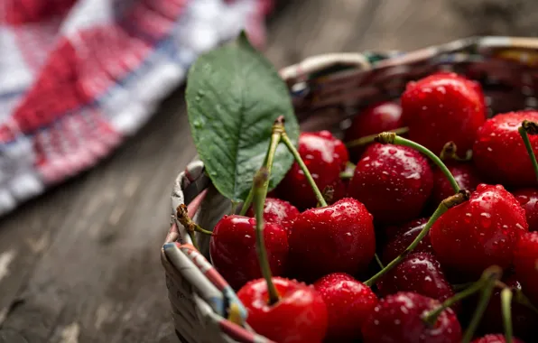 Вишня, ягоды, дерево, fresh, wood, basket, cherries, Sweet