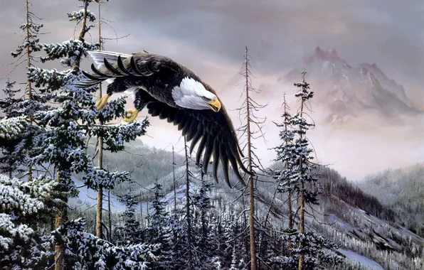 Картинка зима, лес, горы, птицы, орел, ель, живопись, белоголовый орлан