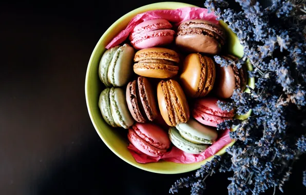 Еда, печенье, тарелка, лаванда, macaron