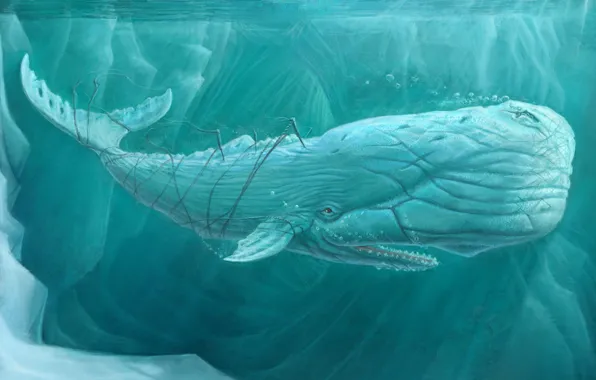 Картинка море, кит, под водой, art, moby dick, белый кит