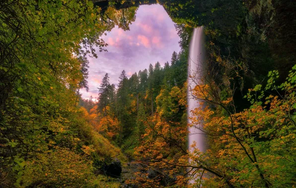 Картинка осень, лес, деревья, водопад, Орегон, Oregon, Silver Falls State Park, South Falls