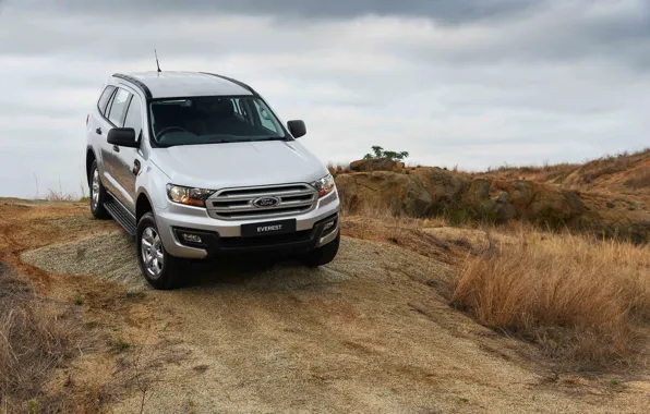 Ford, Everest, 4WD, 2015, среднеразмерный, XLS