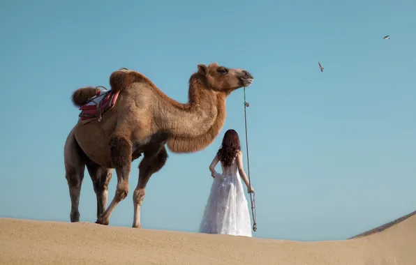 Desert, animals, girls