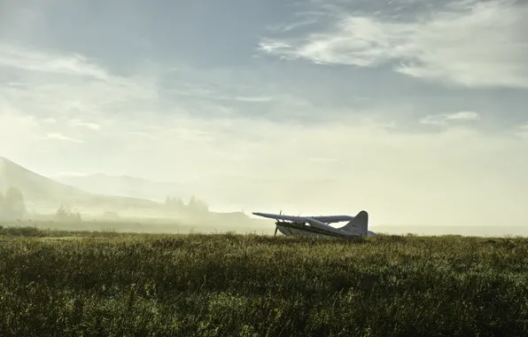 Картинка поле, туман, самолёт