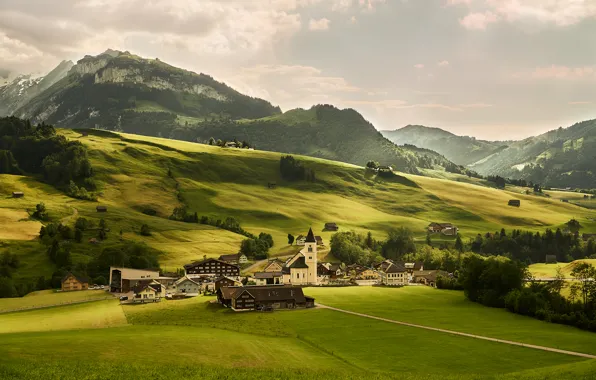 Картинка зелень, деревья, горы, поля, дома, Швейцария, Альпы, луга