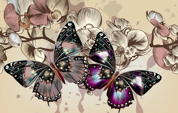 Картинка цвета, бабочки, цветы, фон, крылья, вектор