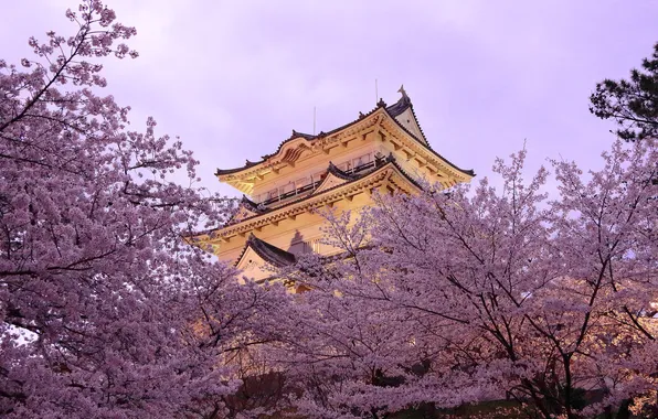 Картинка деревья, весна, Япония, пагода, цветение