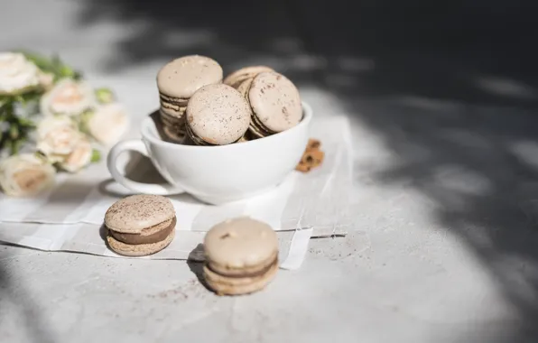 Розы, печенье, чашка, крем, десерт, macaron, миндальное