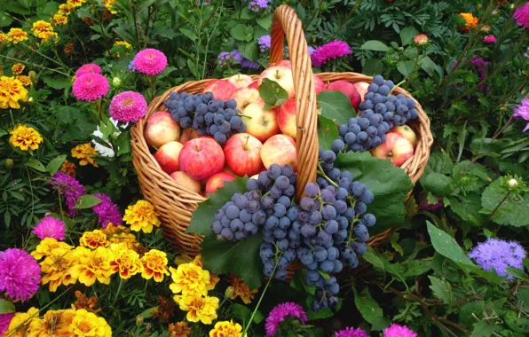 Яблоки, виноград, фрукты, натюрморт, бархатцы