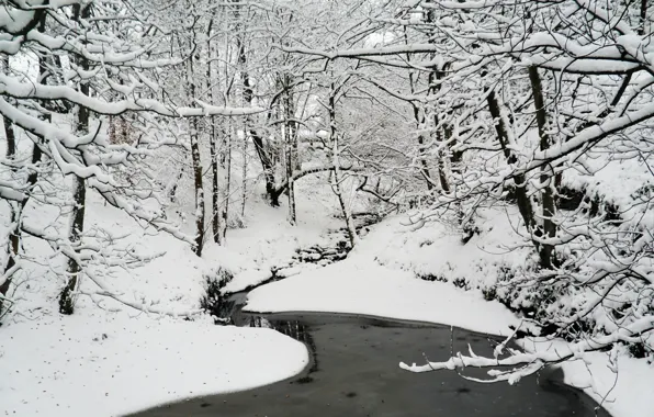 Картинка зима, лес, вода, снег, природа, мороз, forest, Nature
