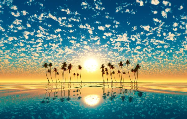 Картинка вода, солнце, закат, отражение, пальмы, остров