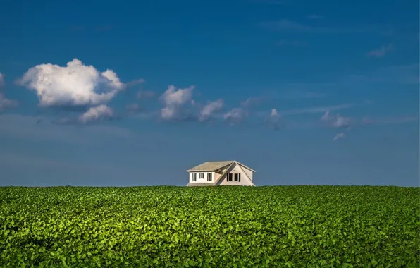 House, sky, clouds, farm, sunny, farmland, potatoe field