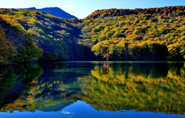 Картинка лес, вода, горы, озеро, отражение, Япония, Japan, Товада