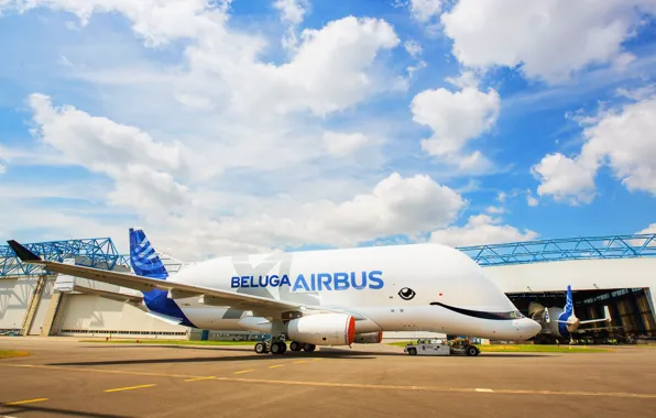 Самолет, самолёт, Грузовой, Airbus, Beluga, A300, Airbus Beluga, Super Transporter