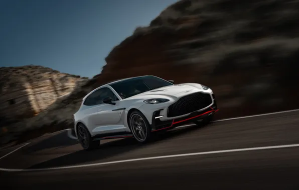 Aston martin, 2026, DBX S