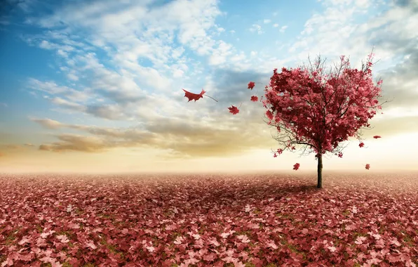 Картинка небо, листья, ветки, дерево, сердце, розовые