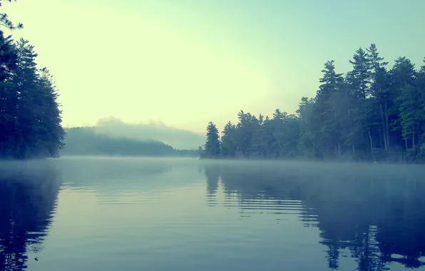 Картинка лес, вода, туман, берег, mist, 00SpaceOddity00