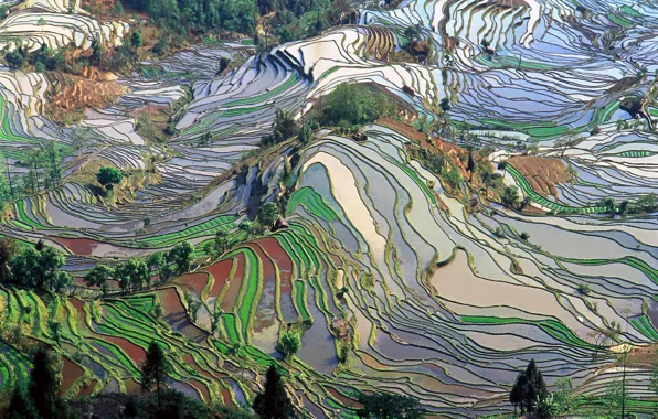 Colors, landscapes, farms