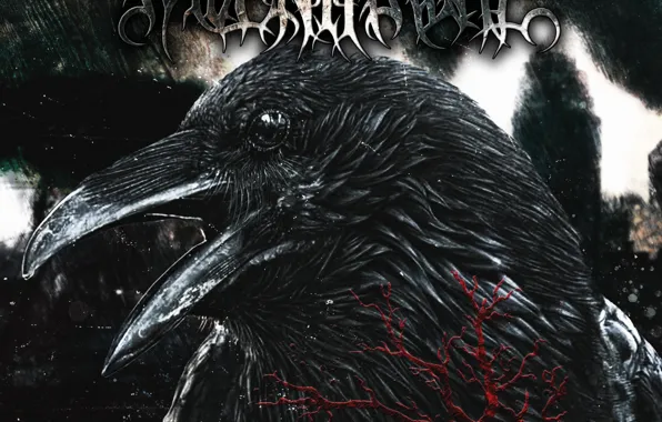 Смерть, разрушение, ворон, ДОКТРИНА НЕНАВИСТИ, Raven Throne, вороний трон