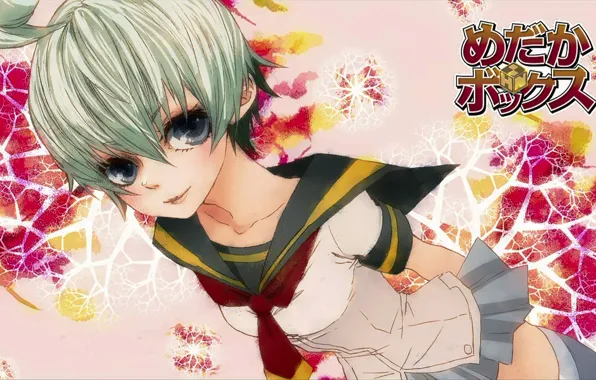 Аниме, арт, школьница, Medaka Box